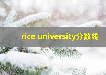 rice university分数线